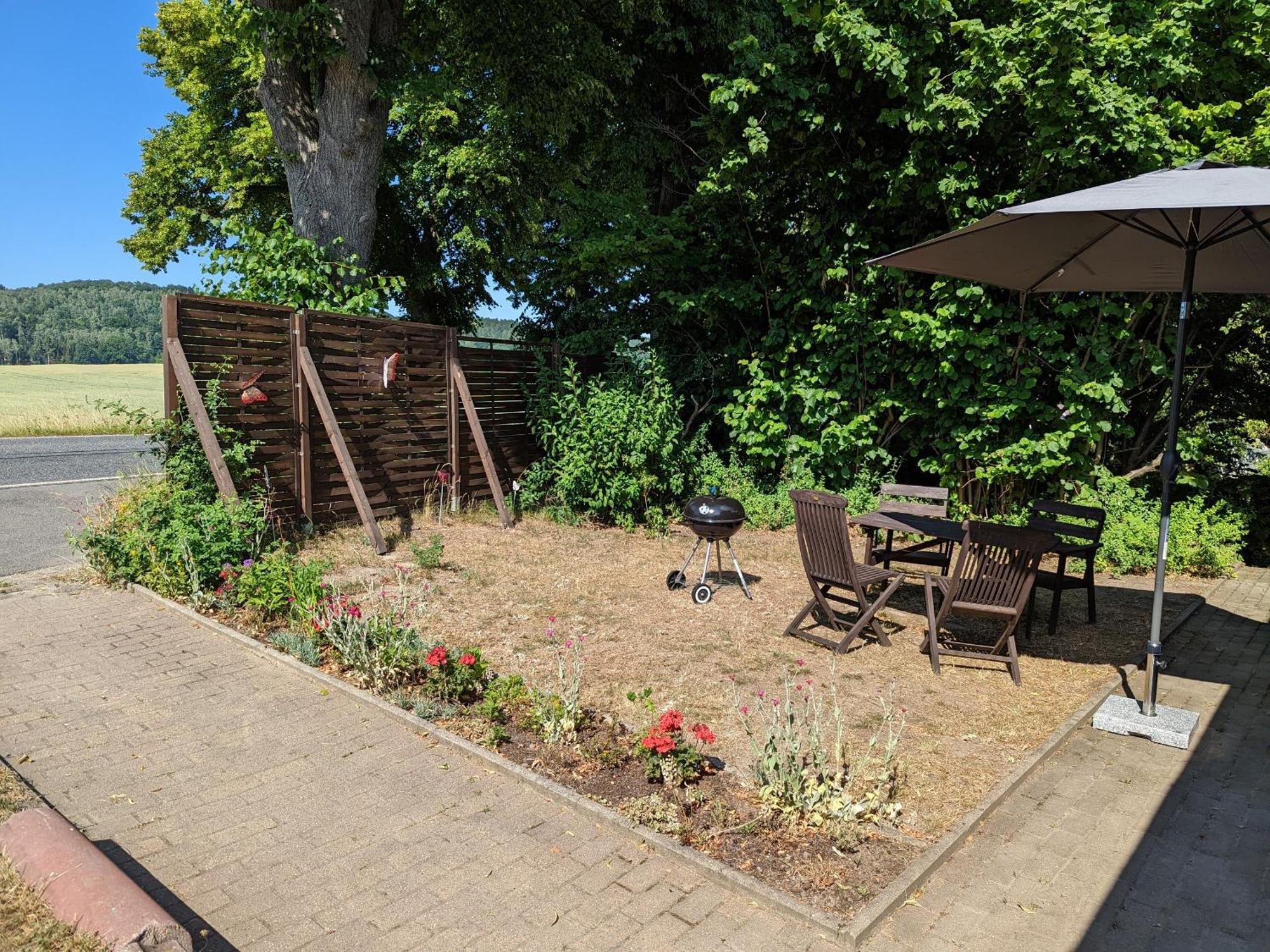 W5 - Urlaubsmagie - Wohnung Mit Grill, Terrasse & Pool Lichtenhain  エクステリア 写真