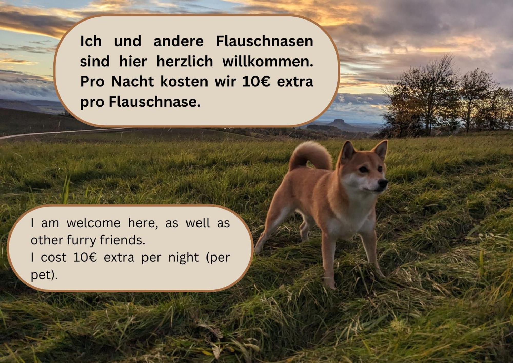 W5 - Urlaubsmagie - Wohnung Mit Grill, Terrasse & Pool Lichtenhain  エクステリア 写真